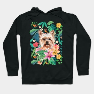 Yorkie Yorkshire Terrier 2 Hoodie